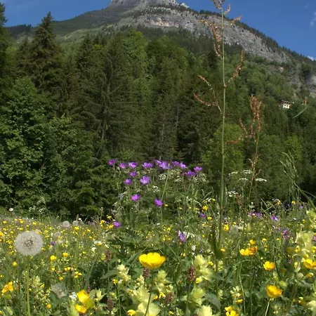 Charmieux En Typique Le Grand-Bornand